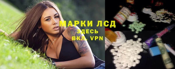 стафф Аркадак