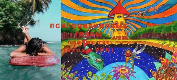 шишки Баксан