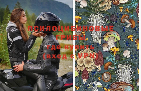 шишки Баксан