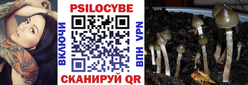 Галлюциногенные грибы прущие грибы Нестеровская